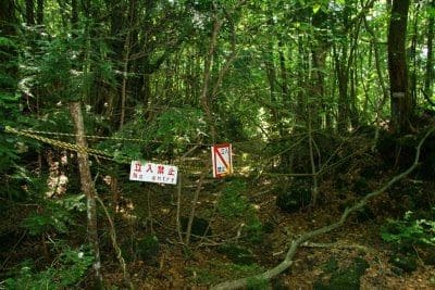 aokigahara foresta 2